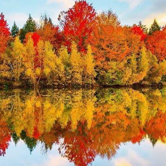 Meet your Posher - Picture 1 of 1